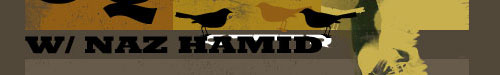 Naz Hamid